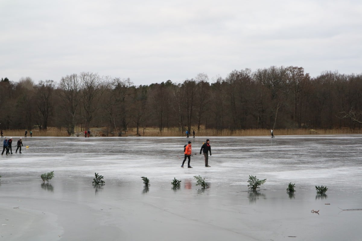 Hellasgarden in winter: skating on natural ice 