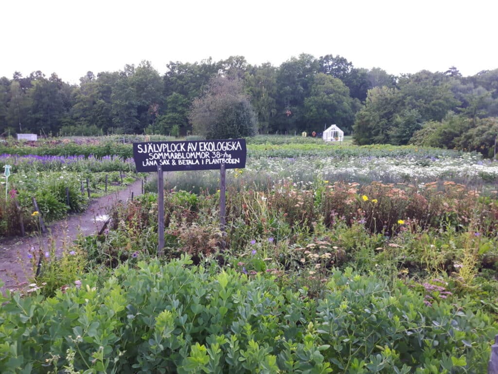 Zelfpluk Rosendals Trädgård