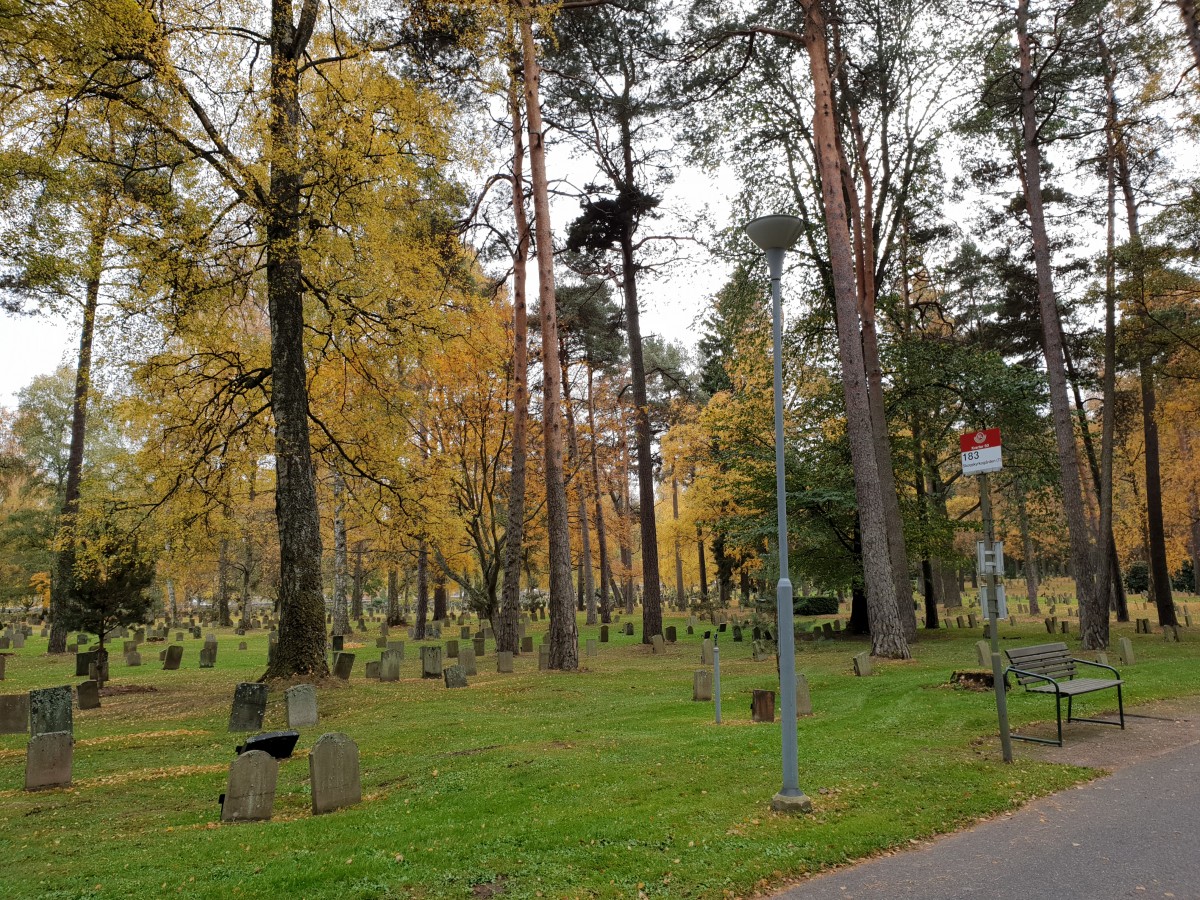 Bushalte in Skogskyrkogården