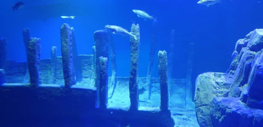 Baltic Sea Science Center in Skansen