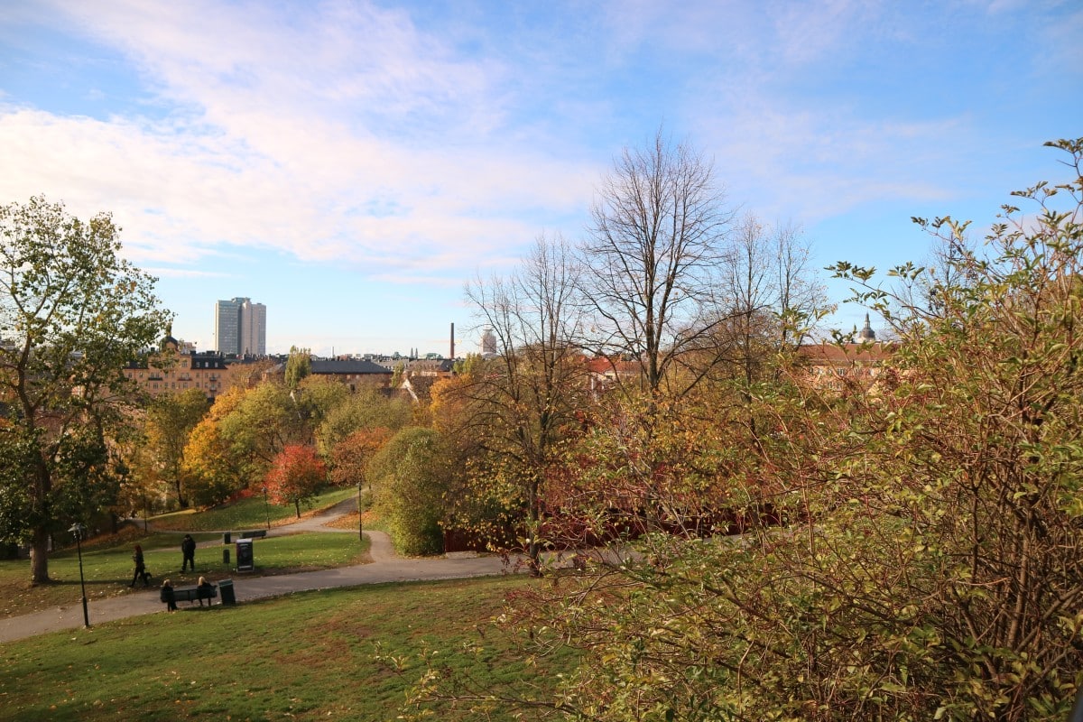 Herfst in Vitabergsparken, Stockholm - stadszicht