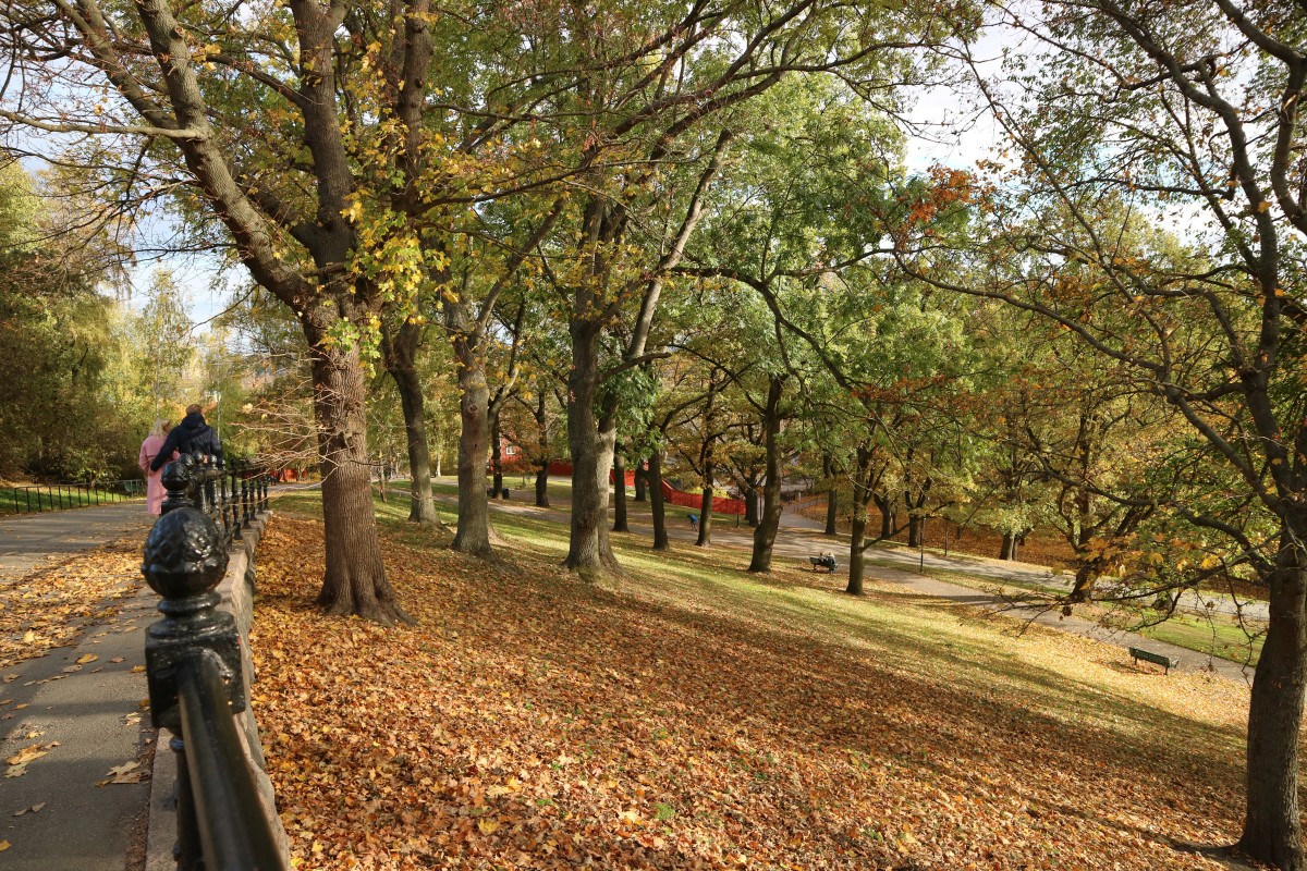 Herfst in Vitabergsparken, Stockholm