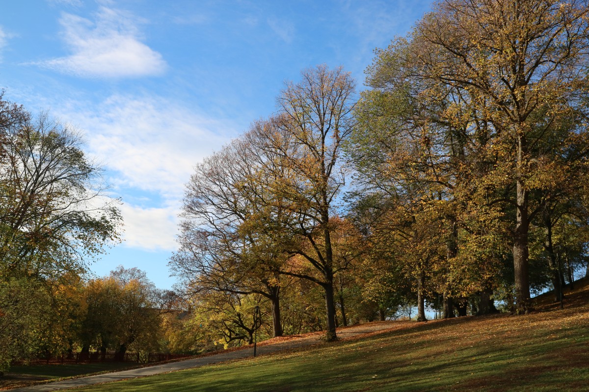 Herfst in Vitabergsparken, Stockholm