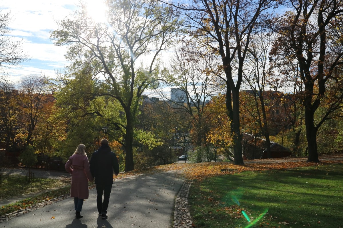 Herfst in Vitabergsparken, Stockholm