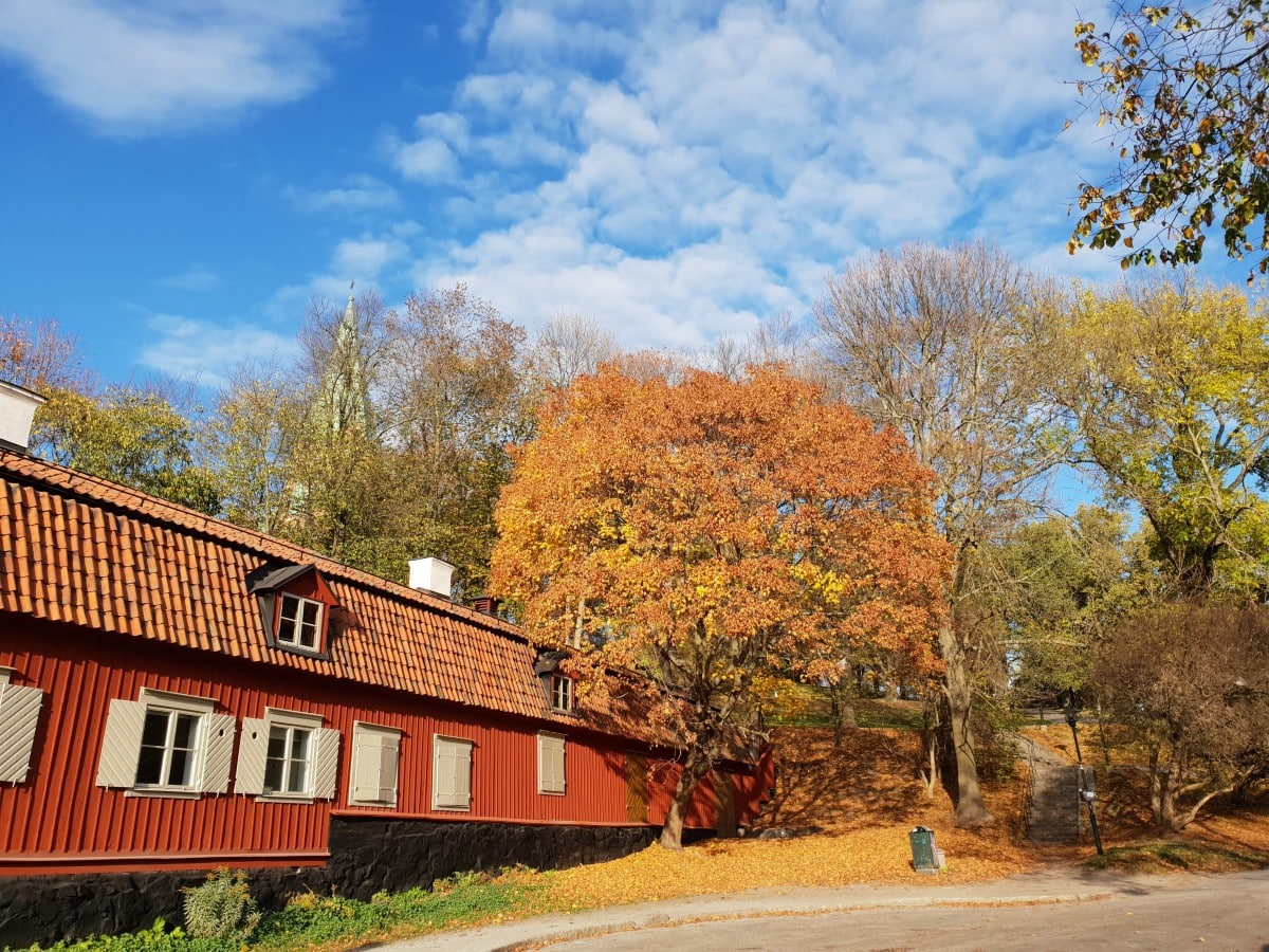 Herfst in Vitabergsparken, Stockholm - arbeidershuisjes