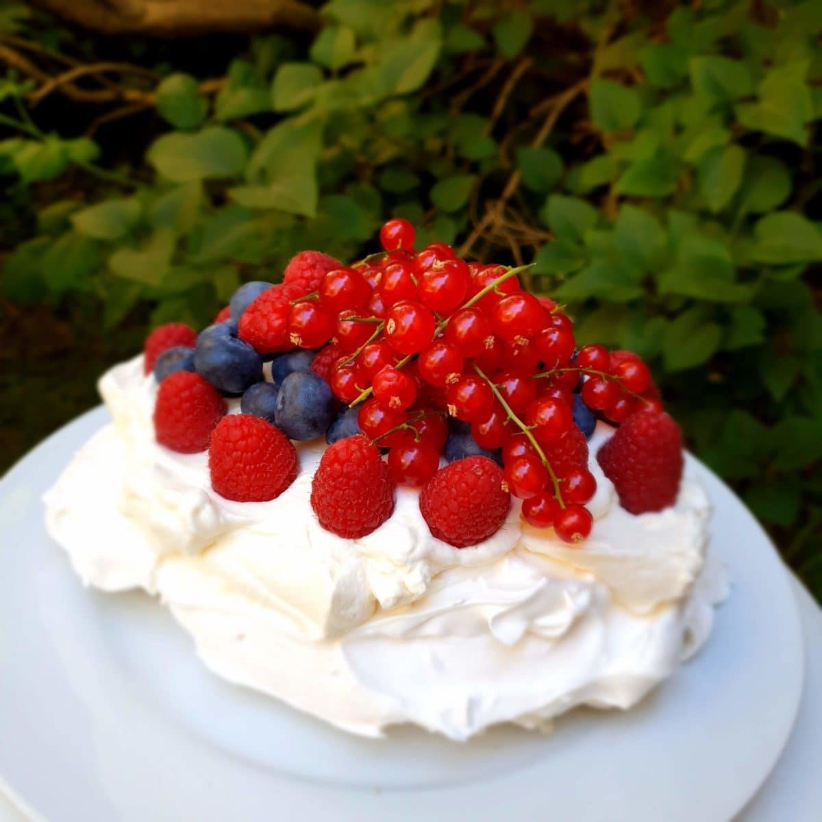 Pavlova met rode vruchten