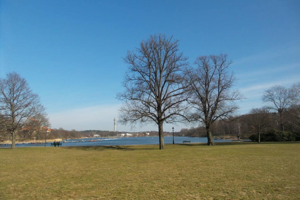 Grasveld in Djurgården met zicht op de Kaknästörnet