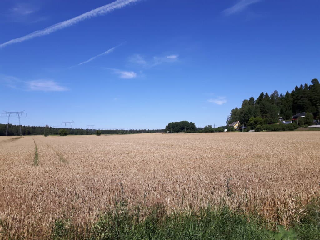 De weg naar Den blå lagunen