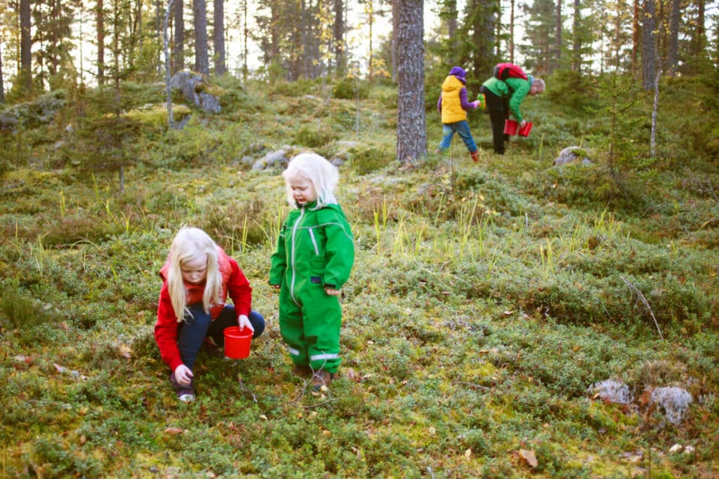 Picking berries in Northern Sweden - Kristiina Kontoniemi/Folio/imagebank.sweden.se